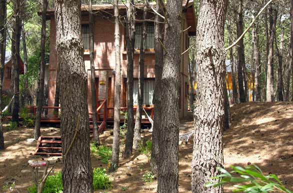 Cabins in the wood