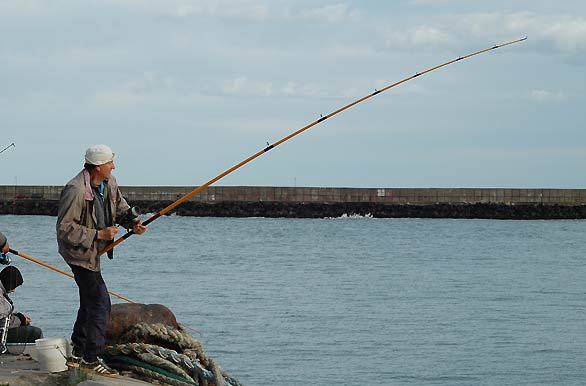 Pesca en escollera del puerto