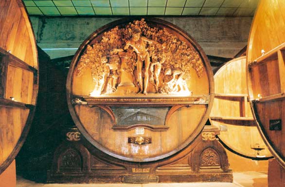 Details in Escorihuela Winery