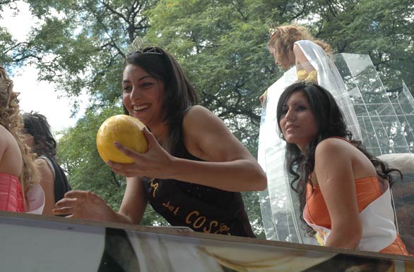 Cosecha de melones, Vendimia 2009