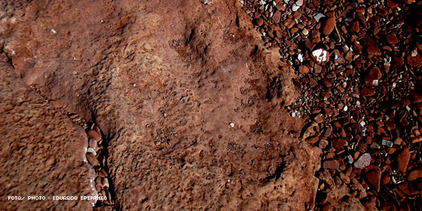 Fossils, the Prints from the past