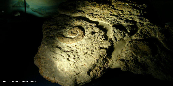 Evolucin de la Tierra: La deriva continental