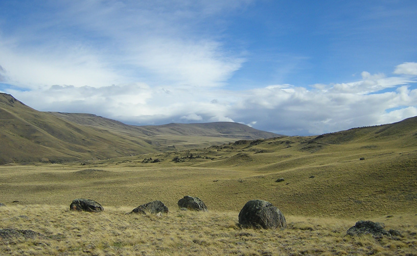 The patagonian steppe