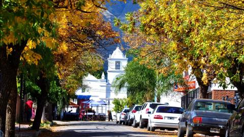 The Merlo’s Micro Climate