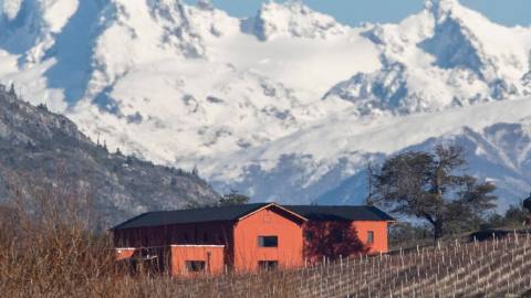 Descubre la experiencia Patagonian Wines