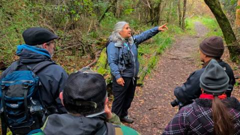 Birdwatching in Lago Puelo National Park