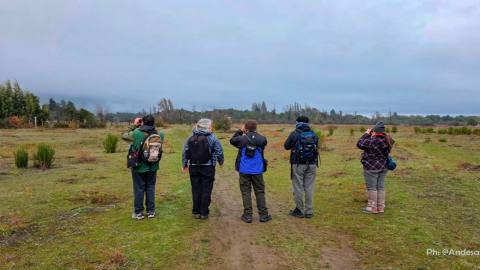 Birdwatching in Lago Puelo National Park