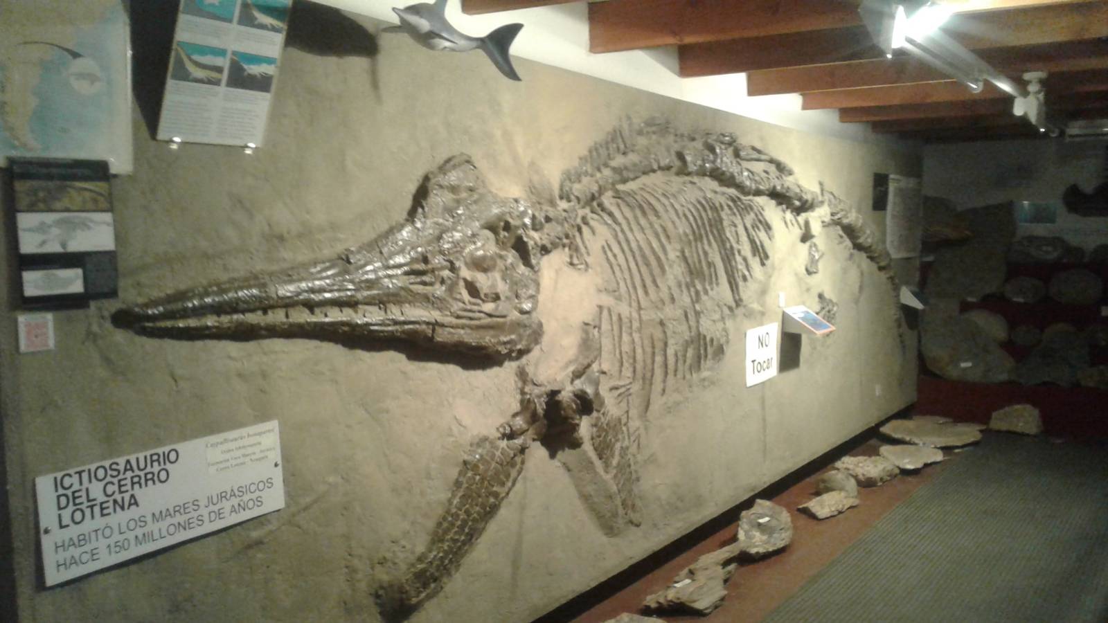 Museo Paleontológico Bariloche