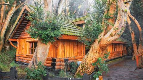 Lake Excursion to Arrayanes Forest