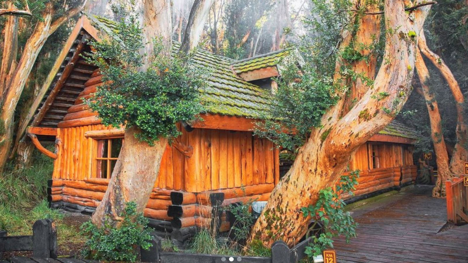 Un hermoso sueño de la infancia