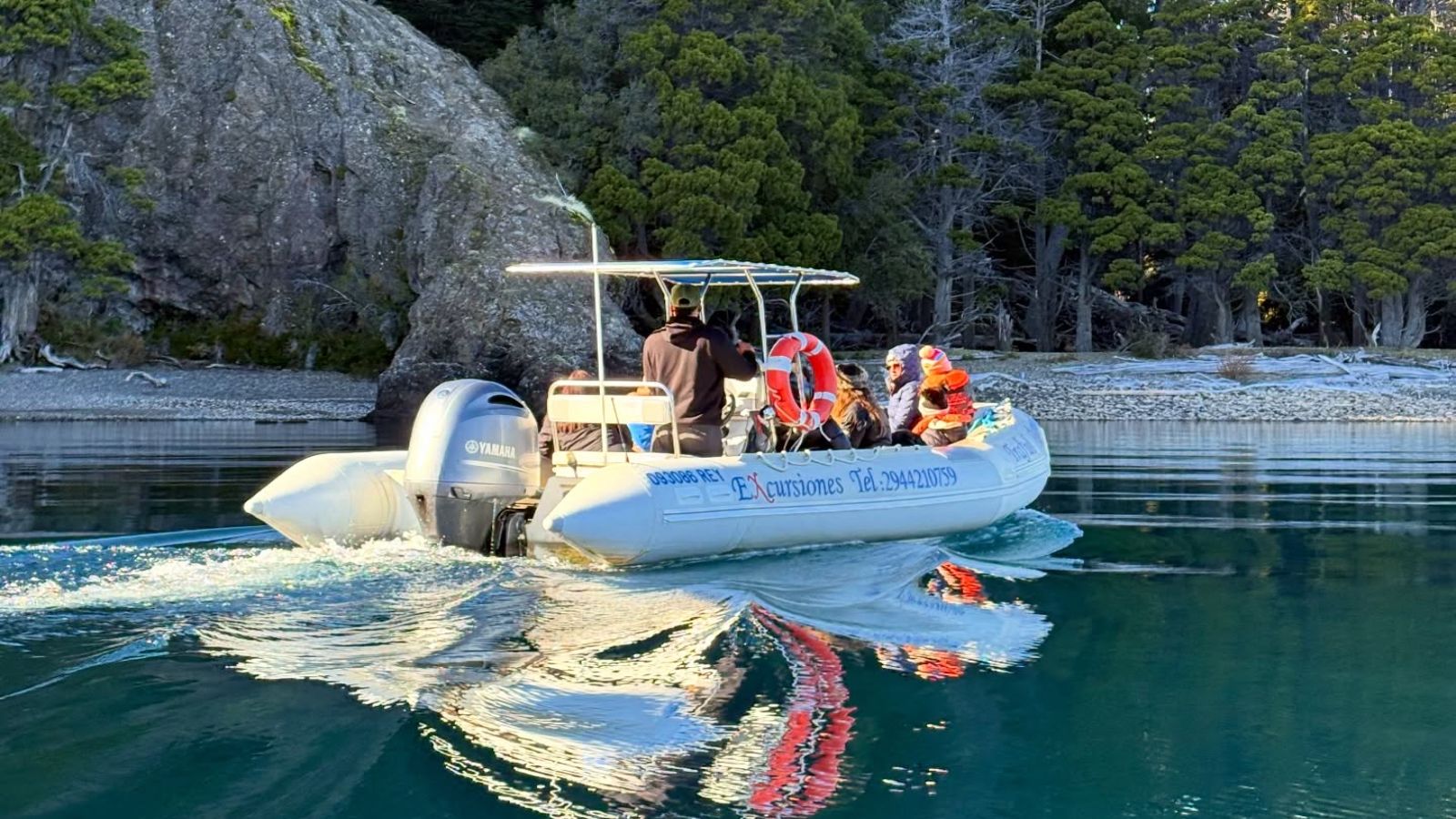 The trunks look petrified