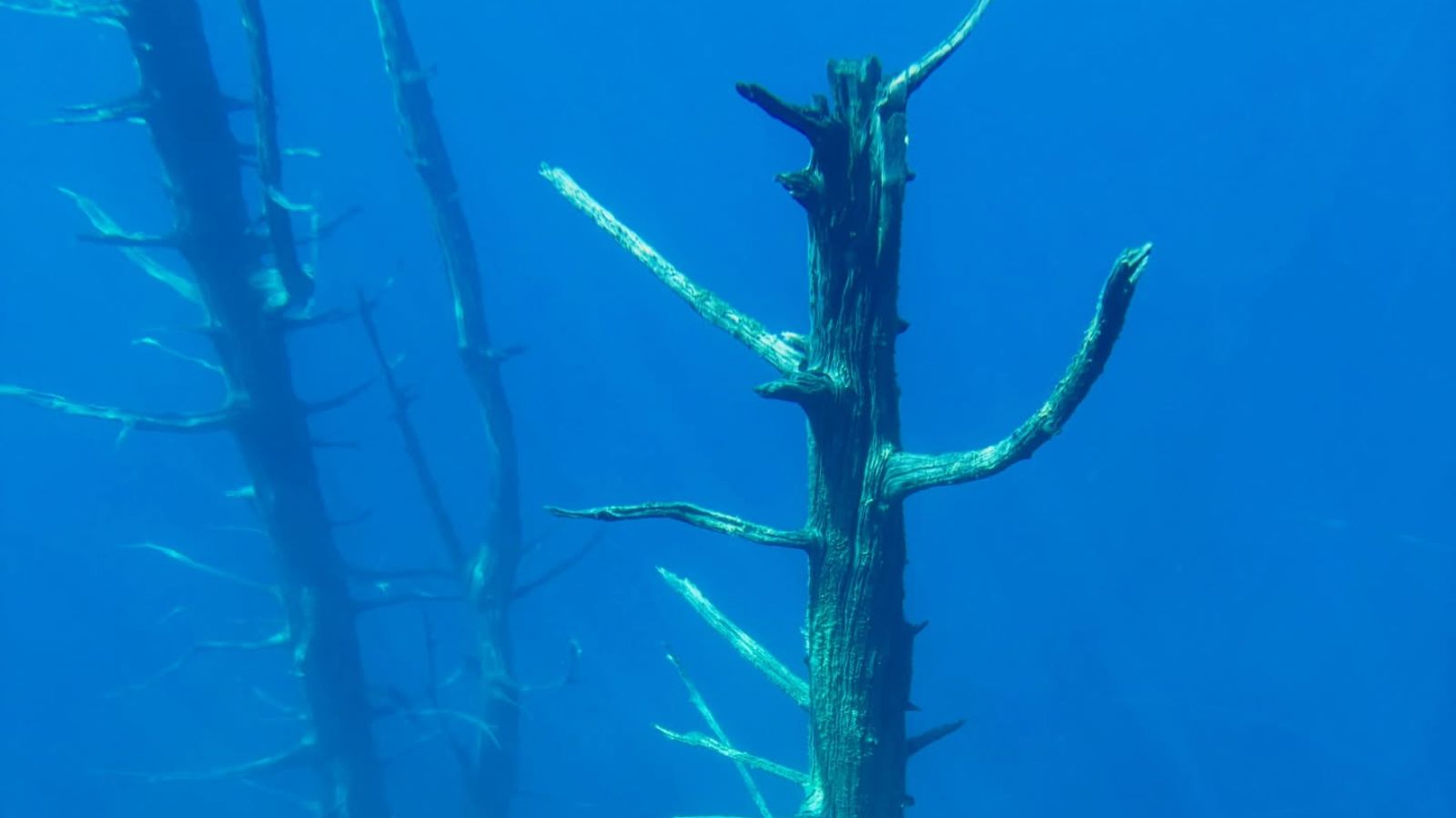 The houses of the village