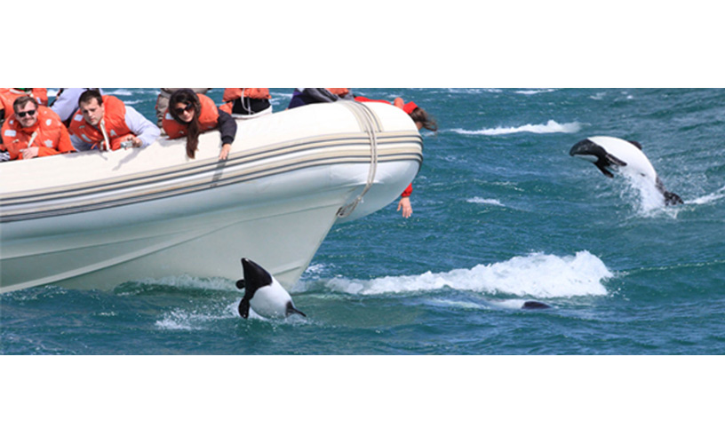 Una exhibición inolvidable