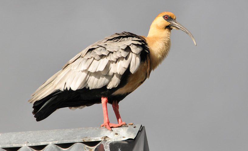 They seemed to spy on us