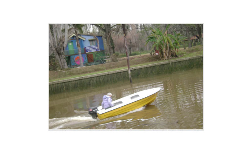 Una pequeña biblioteca perdida en el Delta