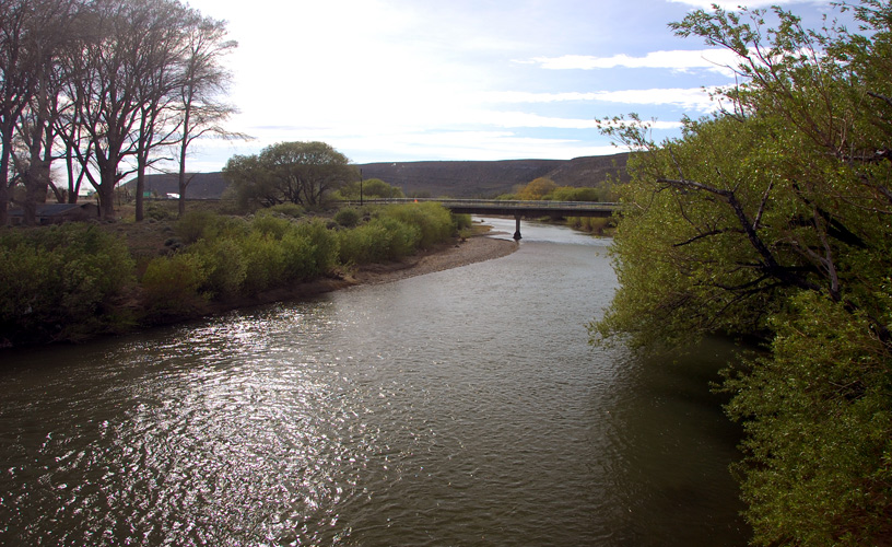 The Mayo River