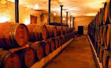 Hundred-Year-Old Winery in Rio Negro