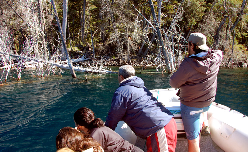 Parecen petrificados