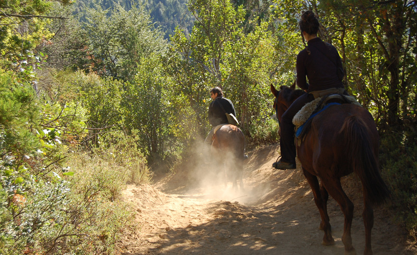Un sinuoso sendero de montaña