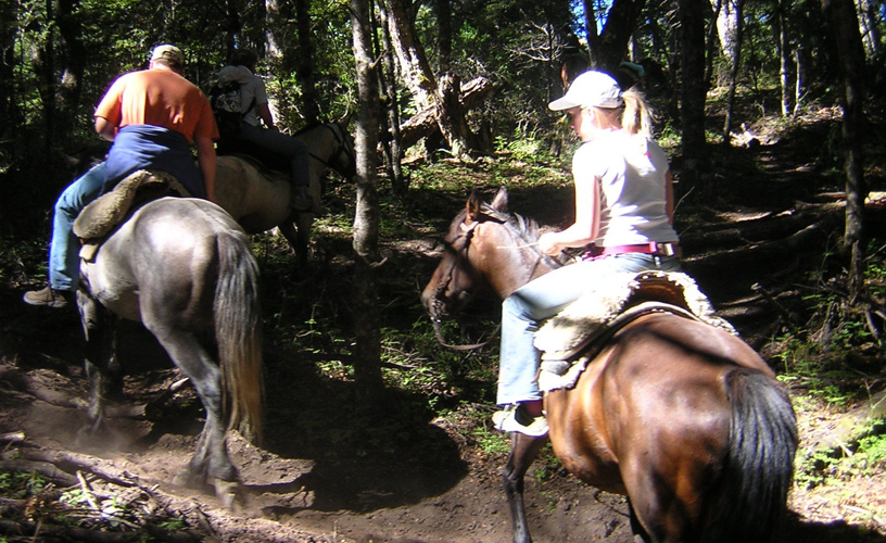 Guiadas por un baqueano