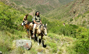A New Way to See Mount Bayo, on Horseback