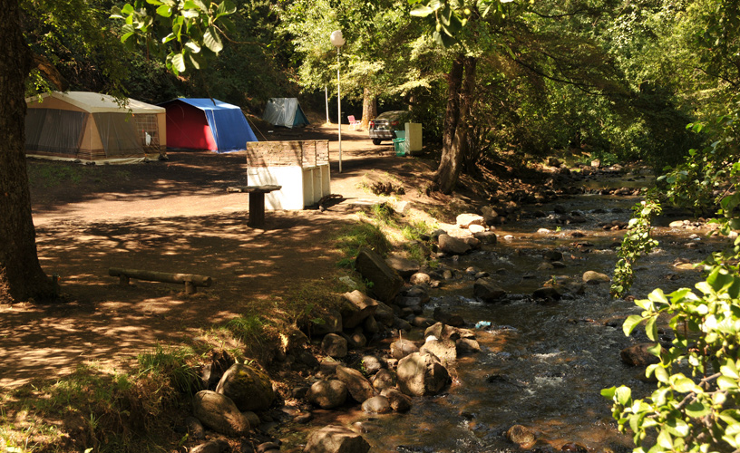 Automóvil Club Argentino