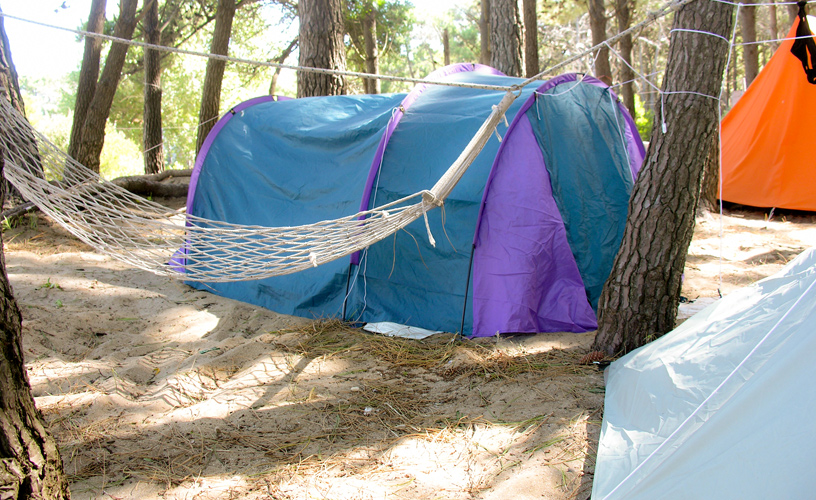 All shapes and colors