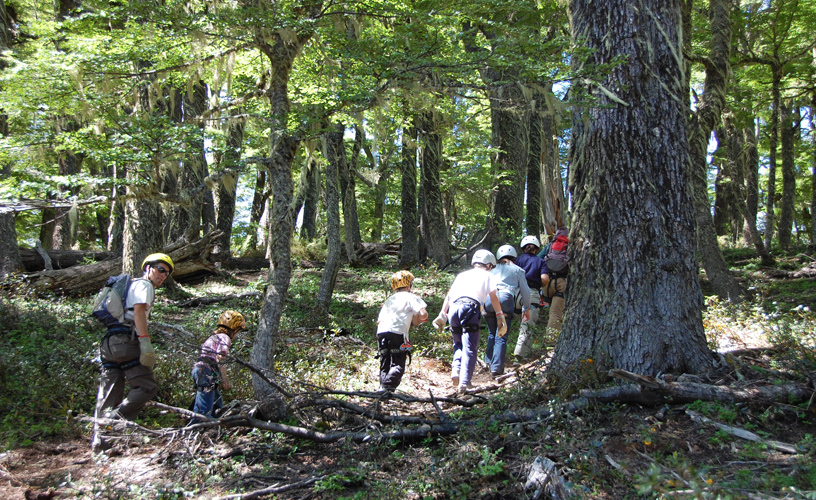 Conectarse con la naturaleza