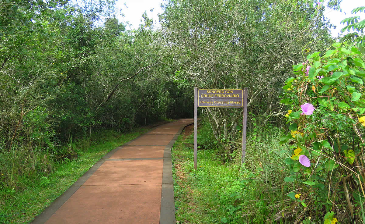 The green trail is a short walk full of flora and fauna