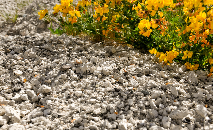 Sand and pumice stone