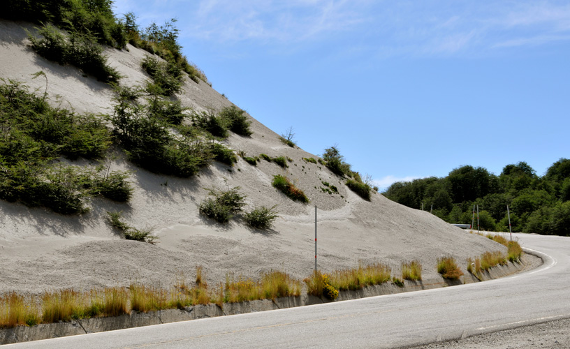 Beneficial for vegetation