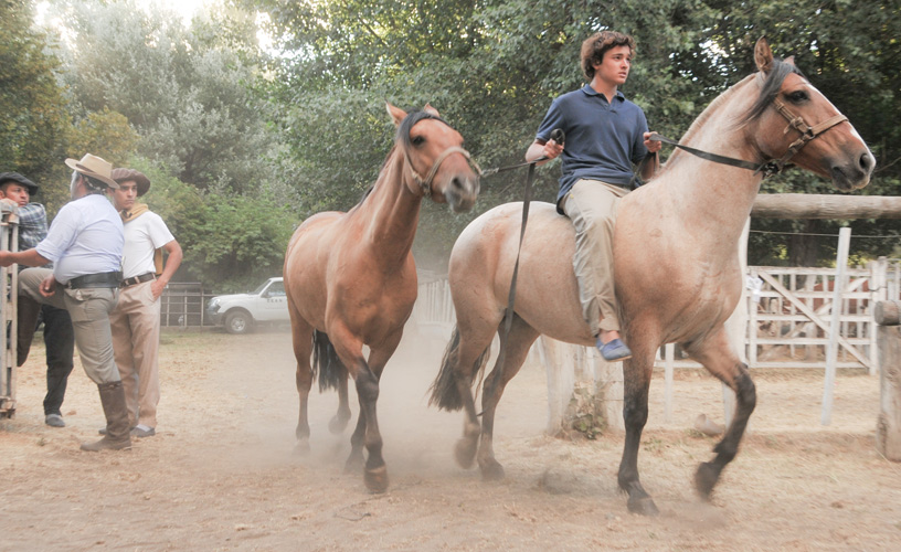 Frequent postcard of the southern towns