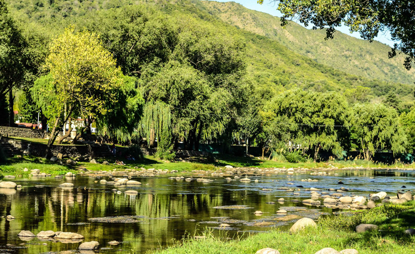 “We only hear the birds singing here”