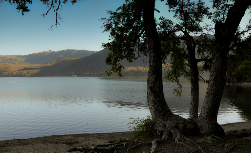 Cristalinas y frías aguas
