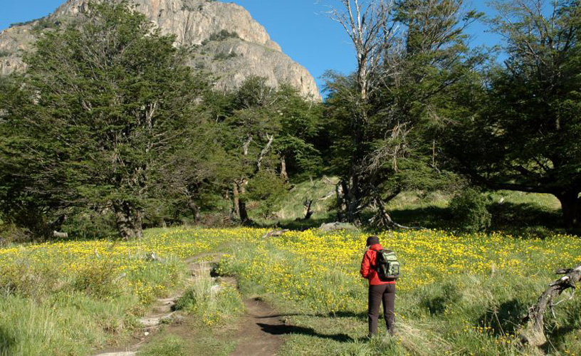 The quietness of the woods