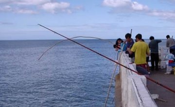Pesca en la costa de Miramar