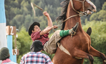 Traditional Horse breaking and Folklore Encounter