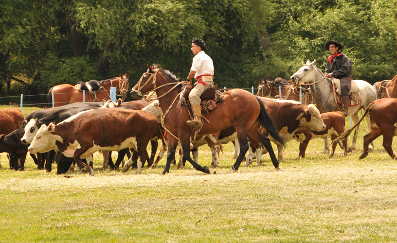 Traditions are in place