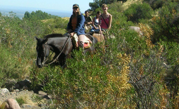 Horseback Riding in Pinamar and its Surroundings 