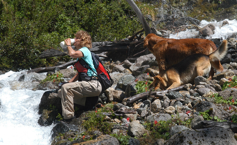 Countless activities to enjoy