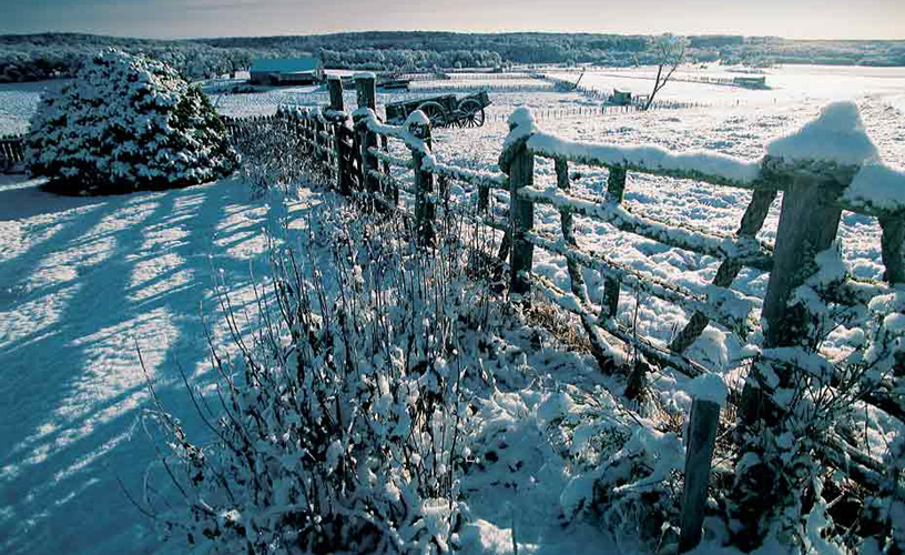 Postcard of pure winter