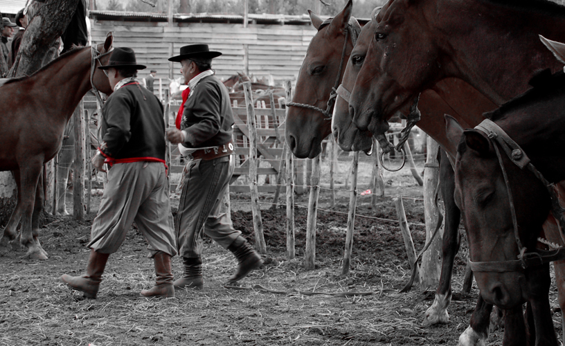 The life policy of the gaucho