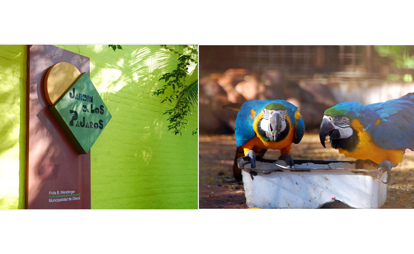 Para ser admirados bien de cerca