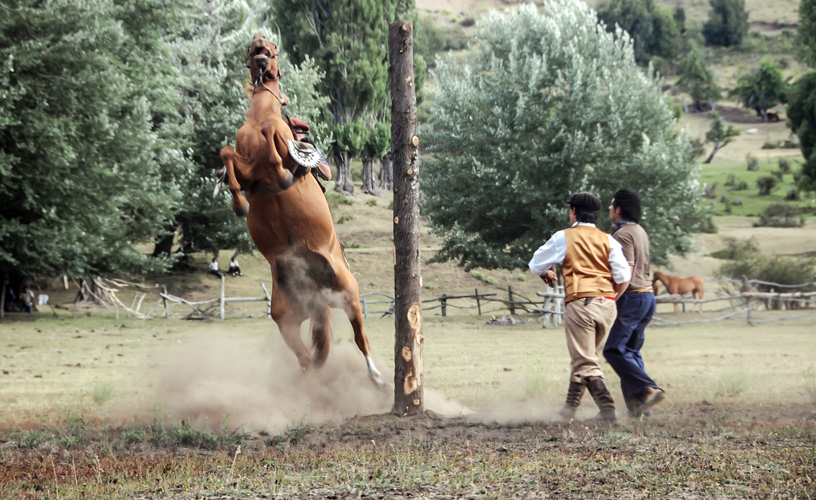 Ocho interminables segundos