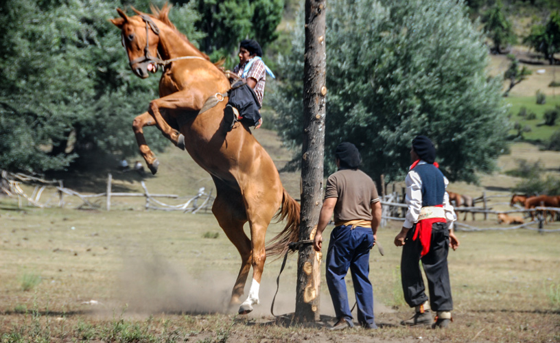 Conocimiento y audacia