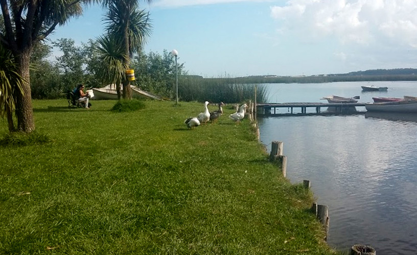 Laguna La Ballenera, Miramar