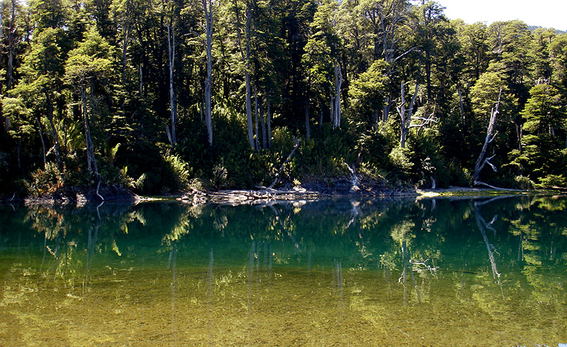 El río Quillén decidió acompañarnos
