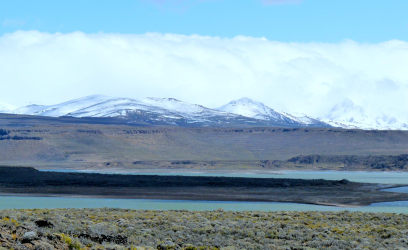 Shelter for hundreds of aquatic birds - Photo: Paz Barreto