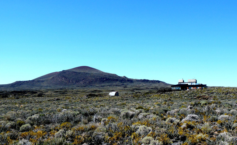 Rough vegetation - Photo: Paz Barreto
