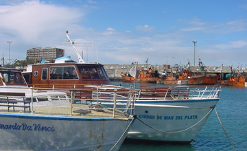 Excursión marítima en Mar del Plata 